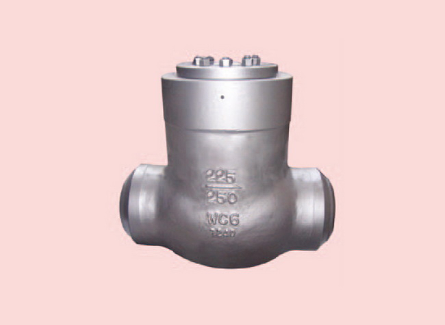 電站旋啟式止回閥